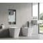 LANERI Concealed Cistern for Floor-Standing WC with Flush Plate, 9 L, 71.5 x 41 cm