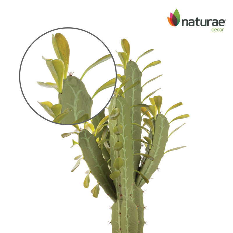 25'' Faux Cactus Plant in Pot