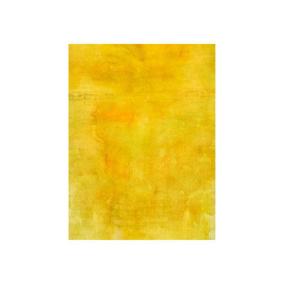 Couleurs II par Sofia Fox - Peinture