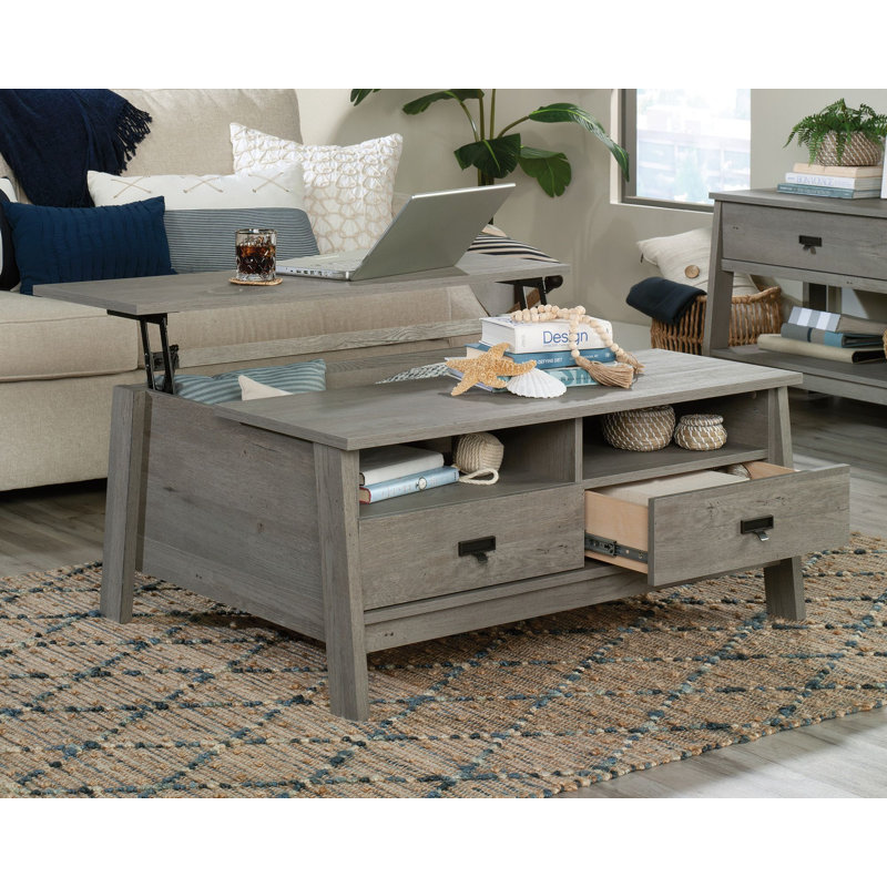 Alzbetka Coffee Table, Gray