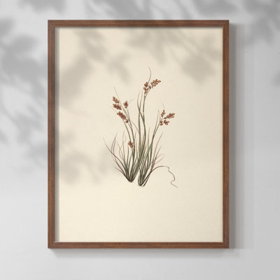 «Vintage Floral Print», impression encadrée sur papier