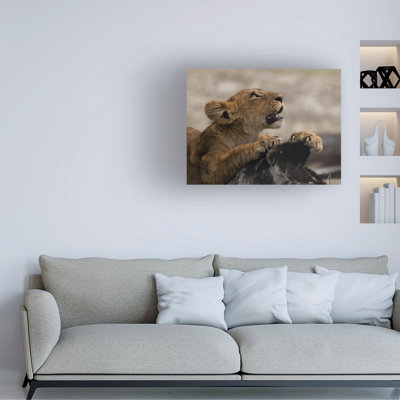 Art sur toile «Bachelor Wett Pettersen»