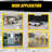 Safety Steel Bollard