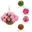 13.5cm Plant-1110944774
