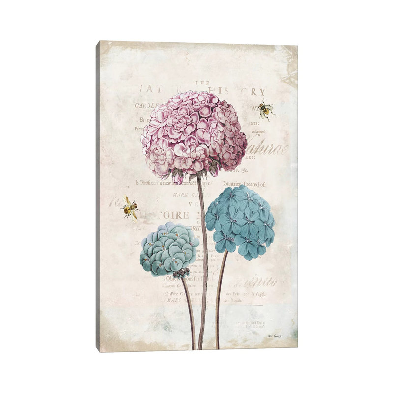 Geranium Study, Pink Flower I by Katie Pertiet - Wrapped Canvas Painting, 20.32 cm H x 30.48 cm W