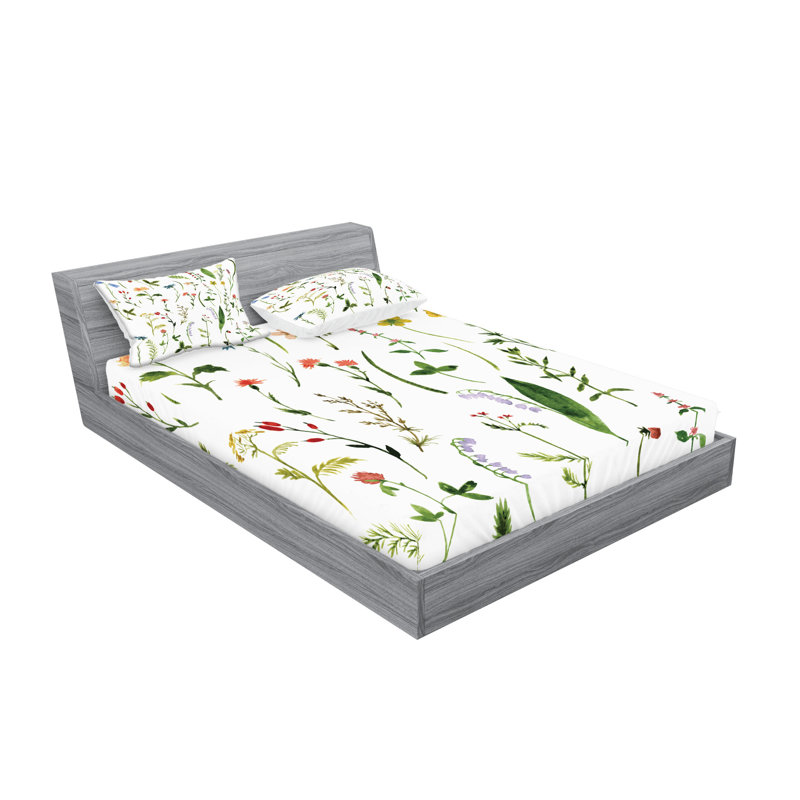 Multicolore drap-housse et taies décoratives Ambesonne, Full Sheet Set + 5 Additional Pieces