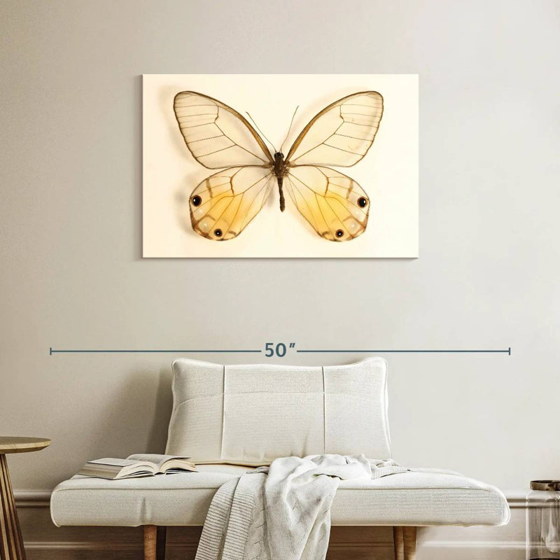 Souvenir de papillon, H 24 po x l 36 po