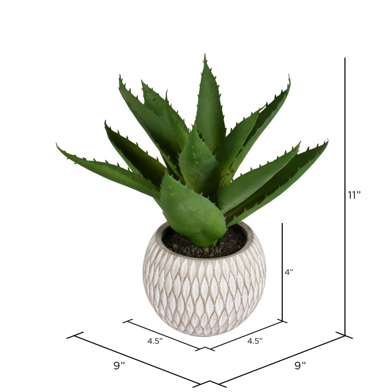 Plante grasse artificielle 7 "en pot