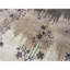 One-of-a-Kind 10'2" X 14'4" Area Rug