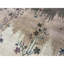 One-of-a-Kind 10'2" x 14'4" Area Rug