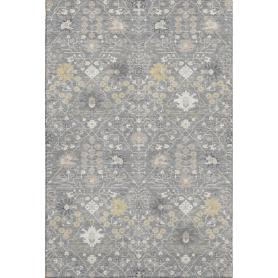 Premium Machine Washable Colmenero AMF1009 Oriental Rug
