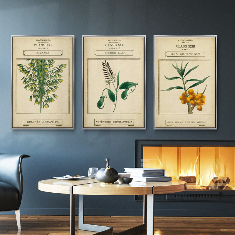 Linnaean Botany I, ensemble de 3 toiles encadrées sur toile, Encadrement argenté, H 36 po x l 72 po