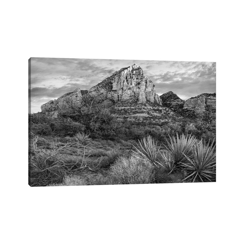 Narrow Leaf Agaves And Thunder Mountain, Coconino National Forest, Near Sedona Arizona by Tim Fitzharris - Gallery-Wrapped Canvas Giclée on Canvas