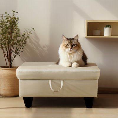 Multi-Functional White Faux Leather Ottoman with Hidden Storage Compartment