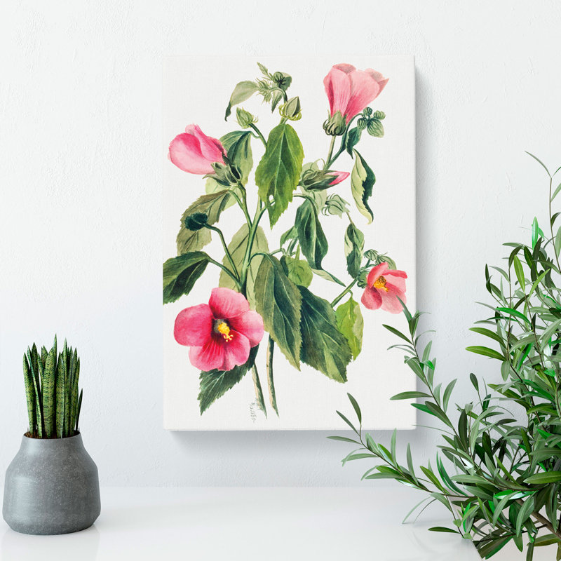 Rose Gentian by Mary Vaux Walcott - Wrapped Canvas Painting, 60cm H x 40cm W x 3cm D
