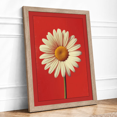 Centered Daisy Study Botanical - Framed Print