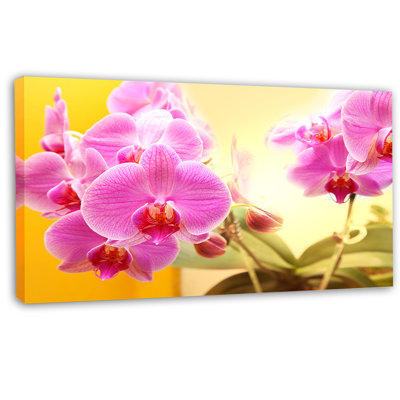 «Blooming Purple Orchid Flowers», reproduction de photo sur toile tendue