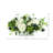 Hydrangea and Thistle Floral Arrangement in a Rectangular Glass Vase