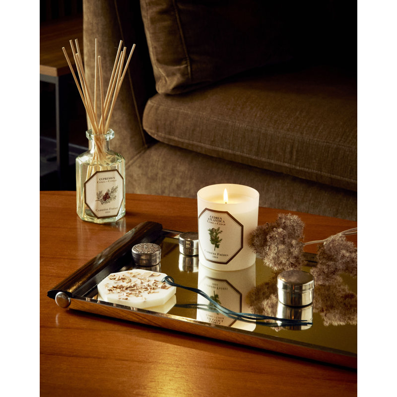 Cedar Candle