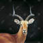 Antilope, art mural sur toile | Décoration de salon rustique-119954752