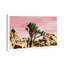 « joshua tree rose », impression-882844620-929072090
