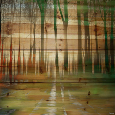 « ajax » par parvez taj,, reproduction d’art sur bois de pin naturel