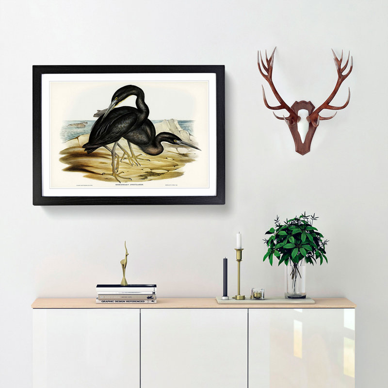 Blue Reef Herons by Elizabeth Gould - Picture Frame Painting Print, Black Framed, 27cm H x 36cm W x 2cm D