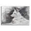 «White Shepherd In Gray» par Robert Campbell-72781288