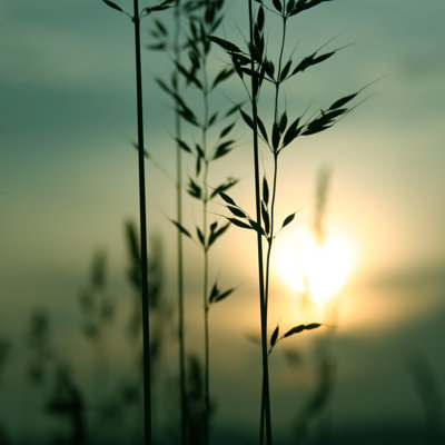 Un magnifique coucher de soleil de Tjasam