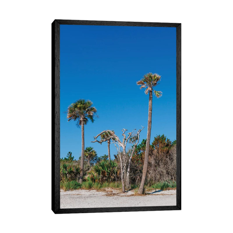 Sullivan's Island XII by Bethany Young - Print on Canvas, Black Framed, 101.6cm H x 66.04cm W x 3.81cm D