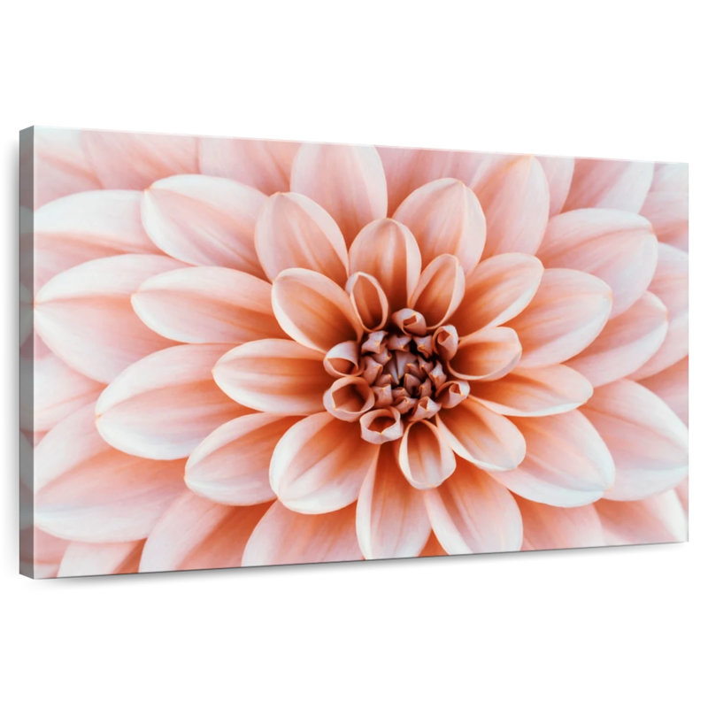 Harnek Peach Floral, 32'' H x 48'' W