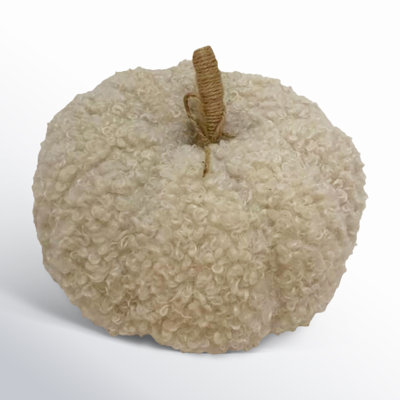 Rayen Teddy Pumpkin