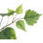 Birch Artificial Tree - 60-Inch Potted Faux Plant with Natural Looking Leaves for Office or Home Decor - Realistic Indoor Fake Plants