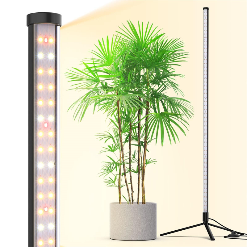 Naomi Grow Light