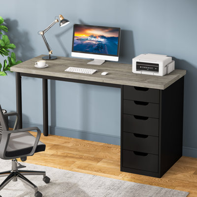 Nagore 47'' Computer Desk With 5 Drawers