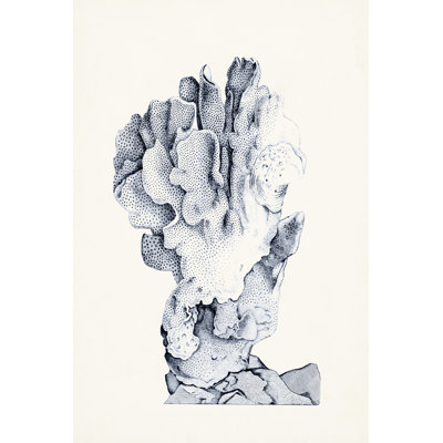 Blue Antique Coral IV by Vision Studio - Wrapped Canvas Print