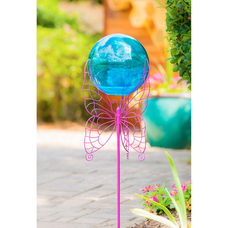 Balle fixant le papillon Hehir, Bleu / rose