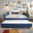 Boucle Fabric Daybed-50393879-50393875