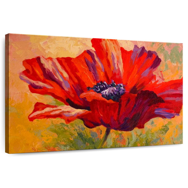 Délicat coquelicot rouge, H 30 po x l 45 po