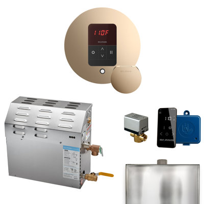 Ensemble de générateur de douche à vapeur MS 15 kW (15 000 W) avec contrôle rond d'iTempo et accessoires