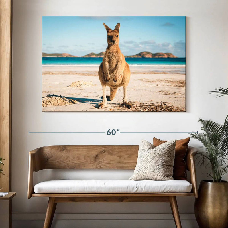 Lucky Bay Kangaroo