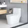 KDK HOME Tornado Toilet with Dual Flush 1.1/1.6 GPF Siphon Jet Comfort Height 16.5"