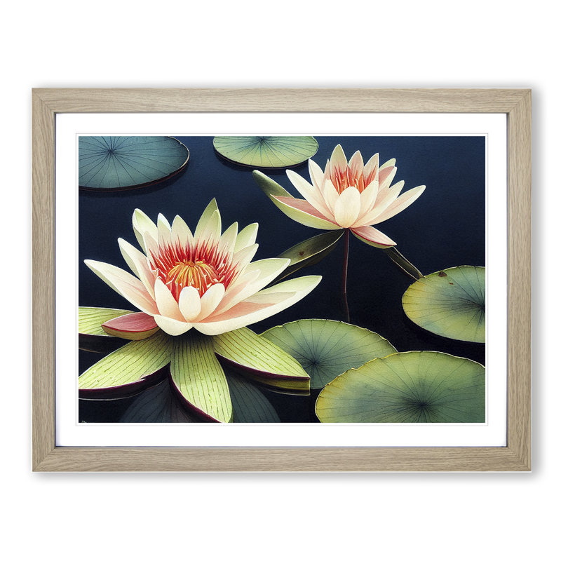 Compelling Water Lily Flowers - Framed Print, 46cm H x 64cm W x 2cm D, Oak