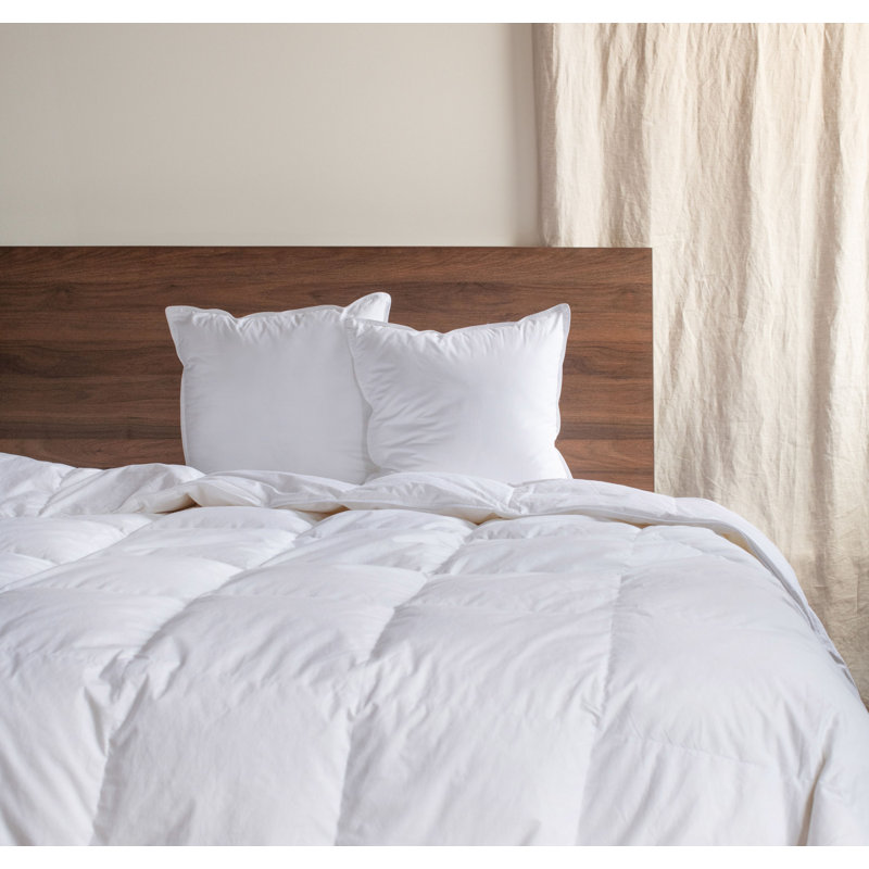 Down Alternative Throw Pillow Insert - 2 Pack, 18"H x 18"W