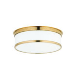 Geneva Flush Mount