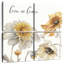 Harnek Fields of Gold Grace-109143933
