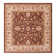 Oriental Indoor Rug