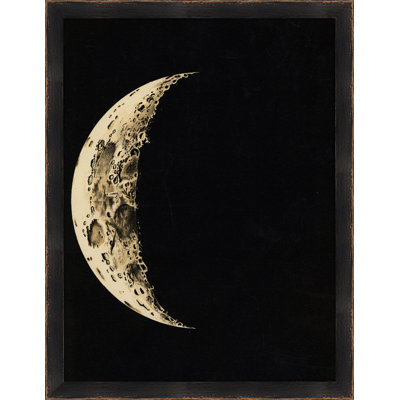 Cycle Of The Moon 1 Print