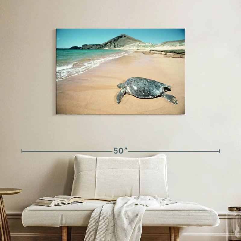 Brampt Galapagos Loggerhead Turtle, 26" H x 39" W