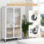 Armoire mobile Brittaini